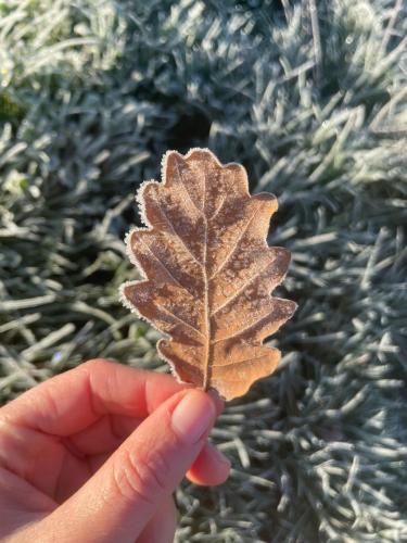 Fotografie z fotogalerie ubytování Wohnung Magda v destinaci Fellen