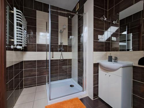 a bathroom with a shower and a sink at Noclegi Pod Dębem, Pulandia Brzózki in Brzózki
