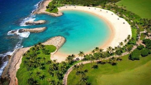 an aerial view of a beach with palm trees at Your Resort Home Walk to Disney & Beach in Honokai Hale