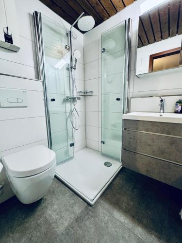 a bathroom with a shower and a toilet and a sink at Lütte Wulke 8, wo Träume Weite finden in Wunstorf