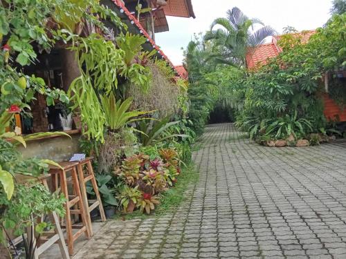 清迈Ouychai home stay resort的植物之家的庭院