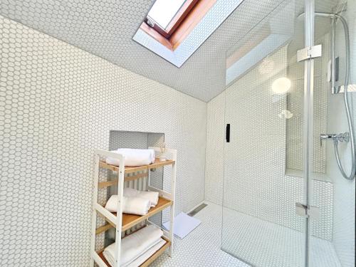 y baño con tragaluz y ducha. en Basilisk Homes - in Grenzach-Wyhlen bei Basel - 4 x Moderne Fewos je 1bis2, 1bis4 oder 1bis6 Pers mit Küche und Balkon oder Terrasse - Parkplätze vorhanden, en Grenzach-Wyhlen