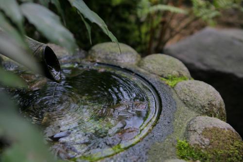 a bird bath sitting on top of some rocks at Grandia Housen in Awara