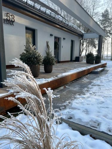 莫斯纳Domek Las&Luz Moszna BALIA的雪中的一栋建筑，里面摆放着盆栽植物