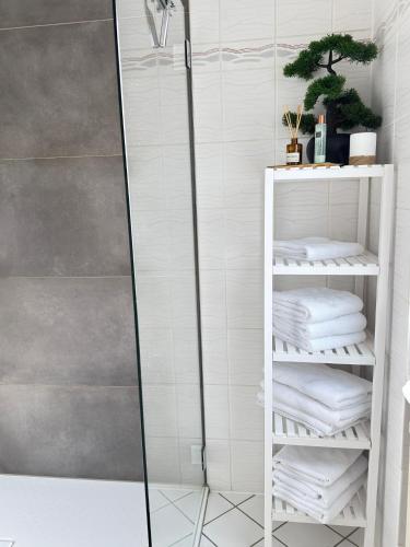 a bathroom with a shower with white towels at Ferienwohnung Lodge 43 in Trier