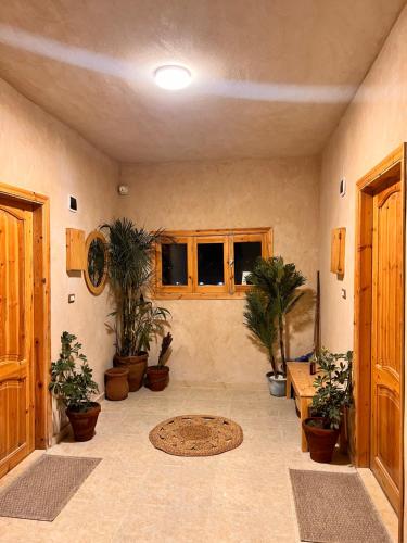 Deluxe SIWA في ‘Izbat Ţanāţī: غرفة معيشة مع نباتات الفخار في غرفة