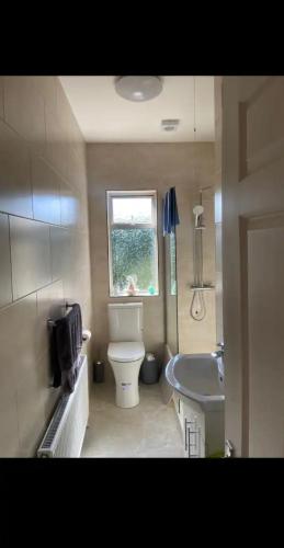 a bathroom with a toilet and a sink at ChestNut View Oldcastle 1 bedroom self-catering in Oldcastle