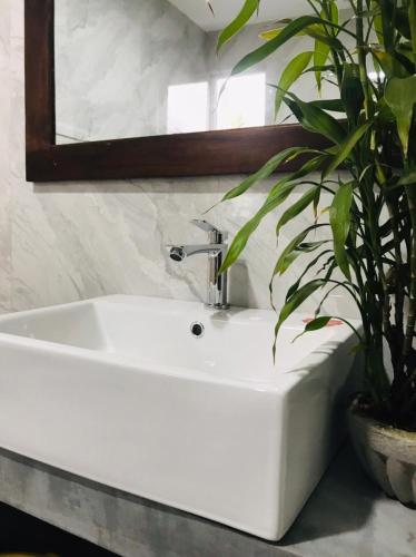 a bathroom sink with a mirror and a potted plant at E Seven House in Dickwella