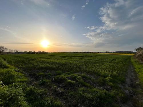 een grasveld met de zon in de lucht bij 6 person holiday home in Haderslev-By Traum in Flovt