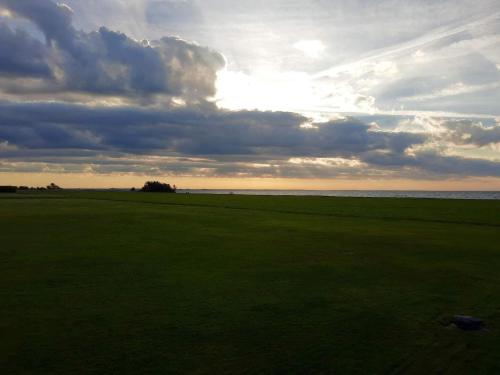 een groen veld met een bewolkte lucht en de oceaan bij 6 person holiday home in Haderslev-By Traum in Flovt