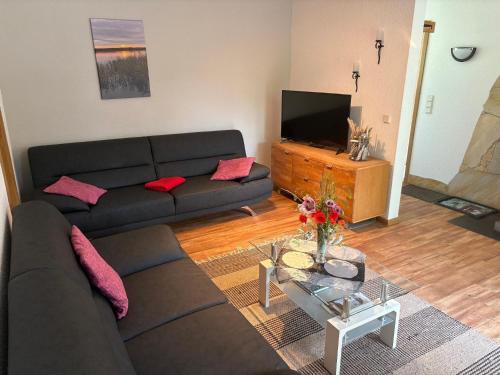 Una televisión o centro de entretenimiento en Gemütliches Ferienhaus für bis zu 4 Personen-Urlaub machen, wo der Weihnachtsmann zu Hause ist