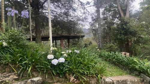 Vườn quanh Pousada nas Montanhas de Teresopolis