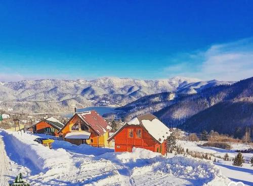 ZaovineTarovuk cabin的山间雪地中的一群房子