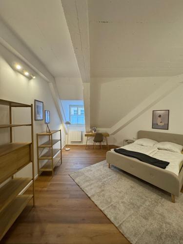 班贝格BM Rooms Innenstadt - Große Moderne City Apartments mit eigenem Bad im Herzen der Stadt的一间卧室设有一张床和梯子