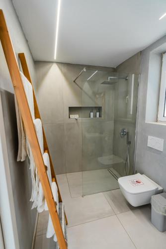 a bathroom with a shower and a toilet at Kyma - Villas in Karpathos