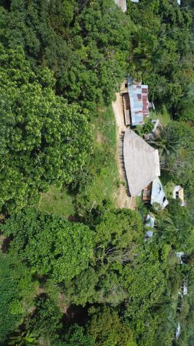 Un paisaje natural cerca de la casa de huéspedes
