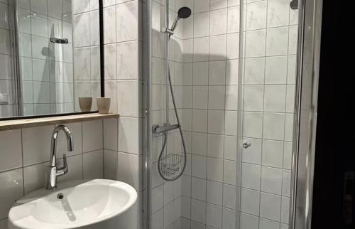 a bathroom with a shower and a sink at Bosvilla Berk met een Jacuzzi in Geesbrug