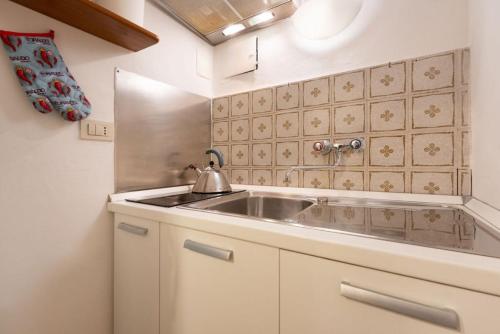 Joy in Florence في فلورنسا: مطبخ مع حوض حديد قابل للصدأ في الغرفة