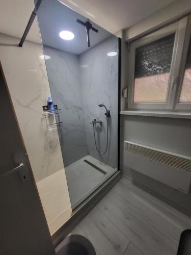 a bathroom with a shower with a glass door at Aki Land in Mladenovac