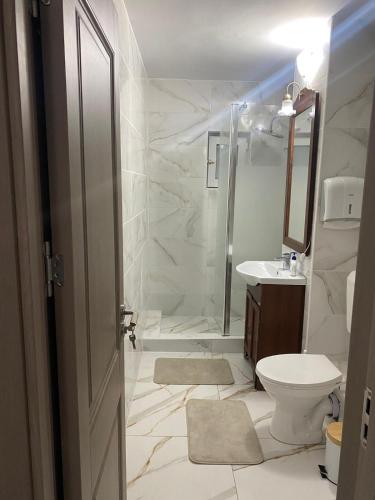 een badkamer met een douche, een toilet en een wastafel bij Lemora Apartments in Focşani