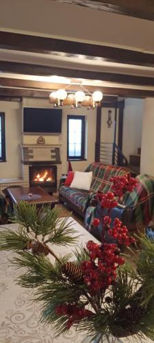 Posezení v ubytování Casa AyA Colibita