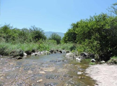 Phong cảnh thiên nhiên gần nhà gỗ