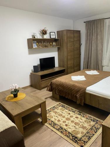 een woonkamer met 2 bedden en een televisie bij Lemora Apartments 3 in Văleni