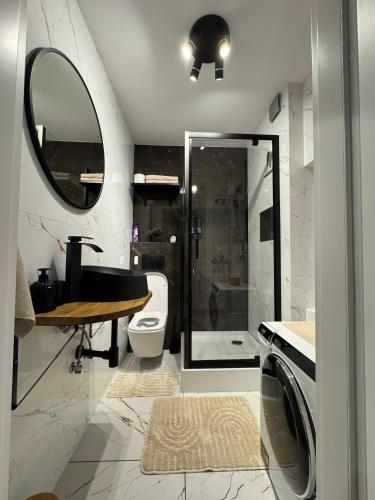 a bathroom with a shower and a sink and a toilet at Studio szczawienko in Wałbrzych