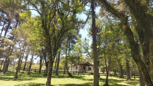 Naturlandskabet i nærheden af feriehuset
