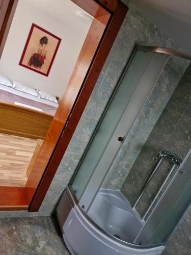 Vadu MoţilorPensiunea Cabana Viselor ,Apuseni的浴室里有玻璃门的淋浴间
