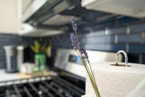 a flower sitting on a kitchen counter next to a sink at 80-3 3BR Boston - Cozy Apt near Dorchester Center in Boston