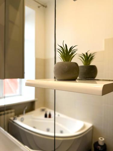 a bathroom with two plants on a shelf next to a tub at Kyiv Muse Apartment in Kyiv