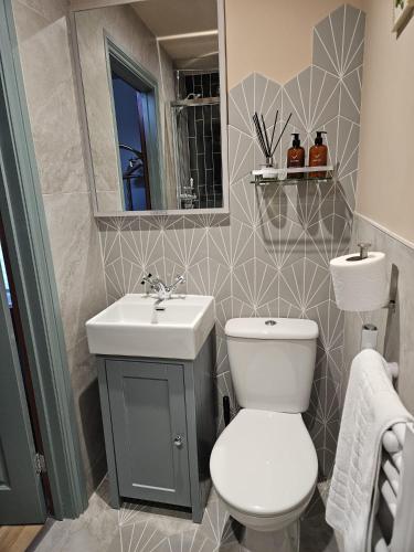 a bathroom with a toilet and a sink and a mirror at The Bluebell in Bath