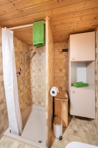 a bathroom with a shower with a toilet and a sink at Apartment Steini since 1574 in Wilderswil