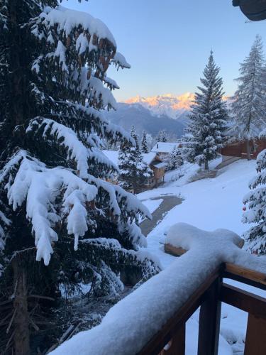 Master Bedroom - Verbier Chalet في فيربير: شجرة صنوبر مغطاة بالثلج