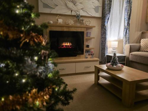 Khu vực ghế ngồi tại Cornish Dream