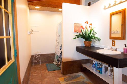 un bagno con lavandino e specchio di 508 B The Upper Bungalow a Virginia Beach