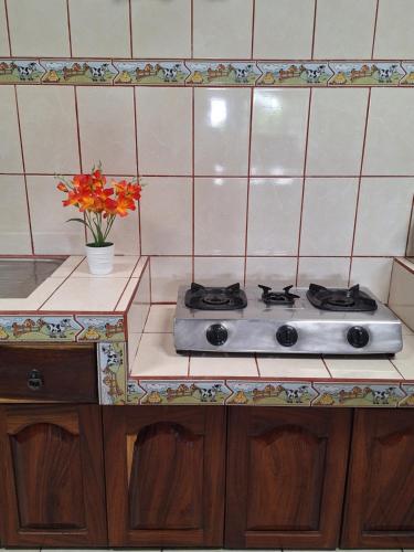 Kuchyň nebo kuchyňský kout v ubytování Hospedaje Bosque del Río