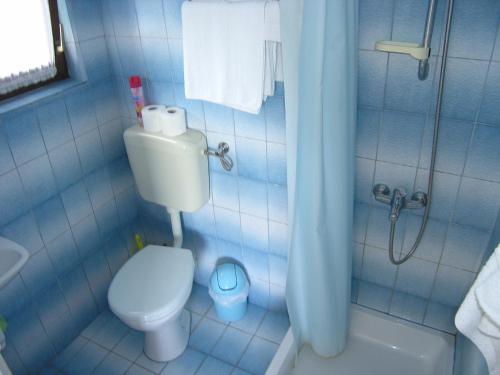 Koupelna v ubytování Apartmani Plach