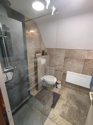 a bathroom with a toilet and a shower at Mókuslak Mátra in Mátraszentimre