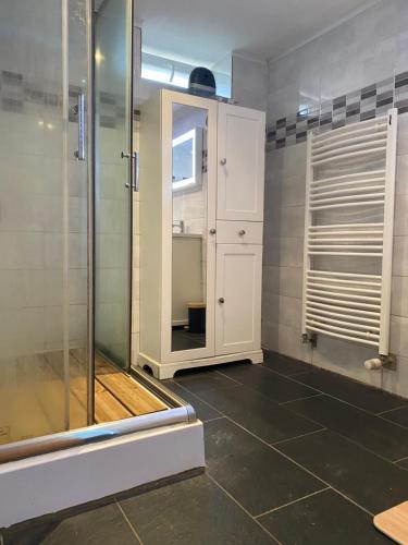 a bathroom with a shower and a glass door at La Maison des Pierres in Zinswiller