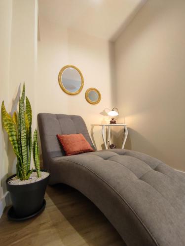 a bedroom with a bed and a potted plant at Vitoria's Vale in Funchal
