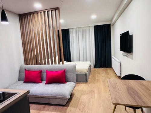 a living room with a couch with two red pillows at Skyheaven, new gudauri in Gudauri