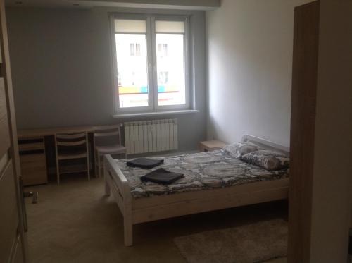 een slaapkamer met een bed en een raam bij Nordic Apartamenty Lipowa in Białystok