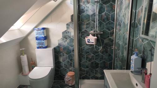 a bathroom with a shower with a toilet and a sink at Quiet Loft Double Room forty-five minutes by train to London Liv Street in Braintree