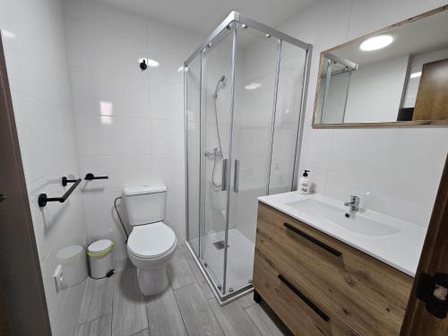 a bathroom with a shower and a toilet and a sink at La Mocha Casa Rural - La Casa de María in La Iruela