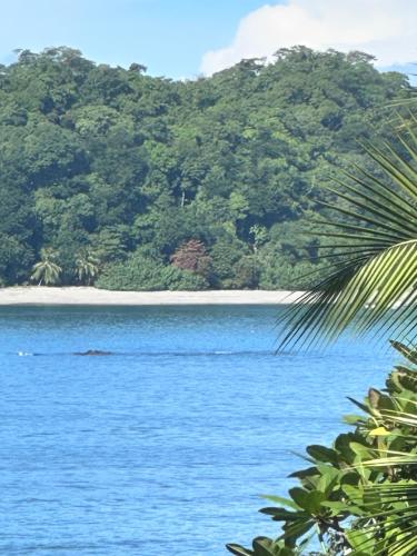 Φυσικό τοπίο κοντά σε οργανωμένο κάμπινγκ