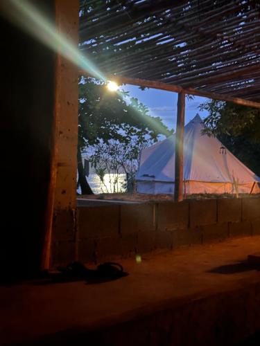 圣卡塔利娜岛AmparitoCamp的透过窗户可欣赏到帐篷的景色