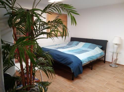 a bedroom with a bed and a potted plant at FeApp Souterrain Pennen & Parken in Mondsee