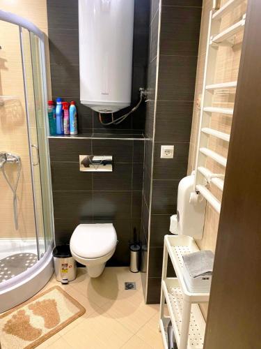 a small bathroom with a toilet and a sink at Luxury studio Perun Lodge in Bansko